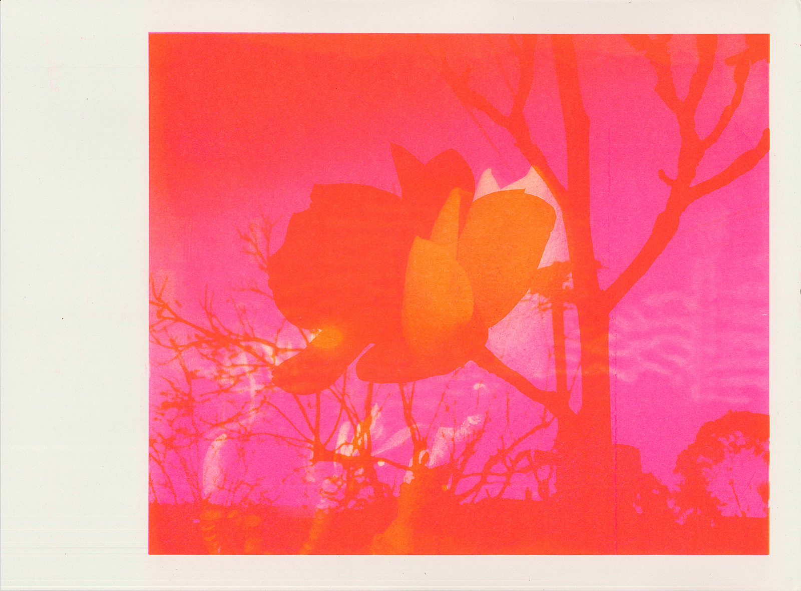 2019 risograph image