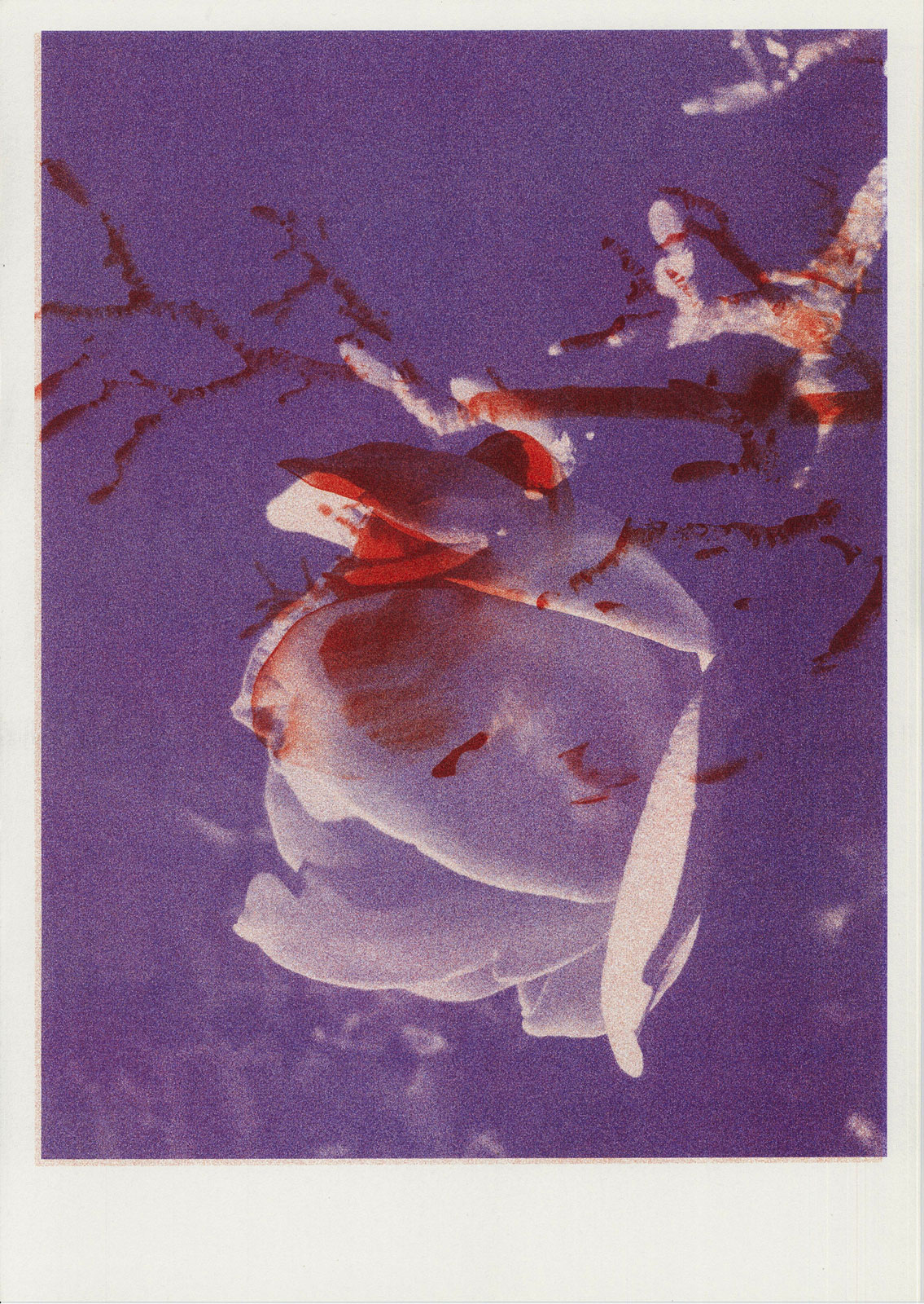 2019 risograph image