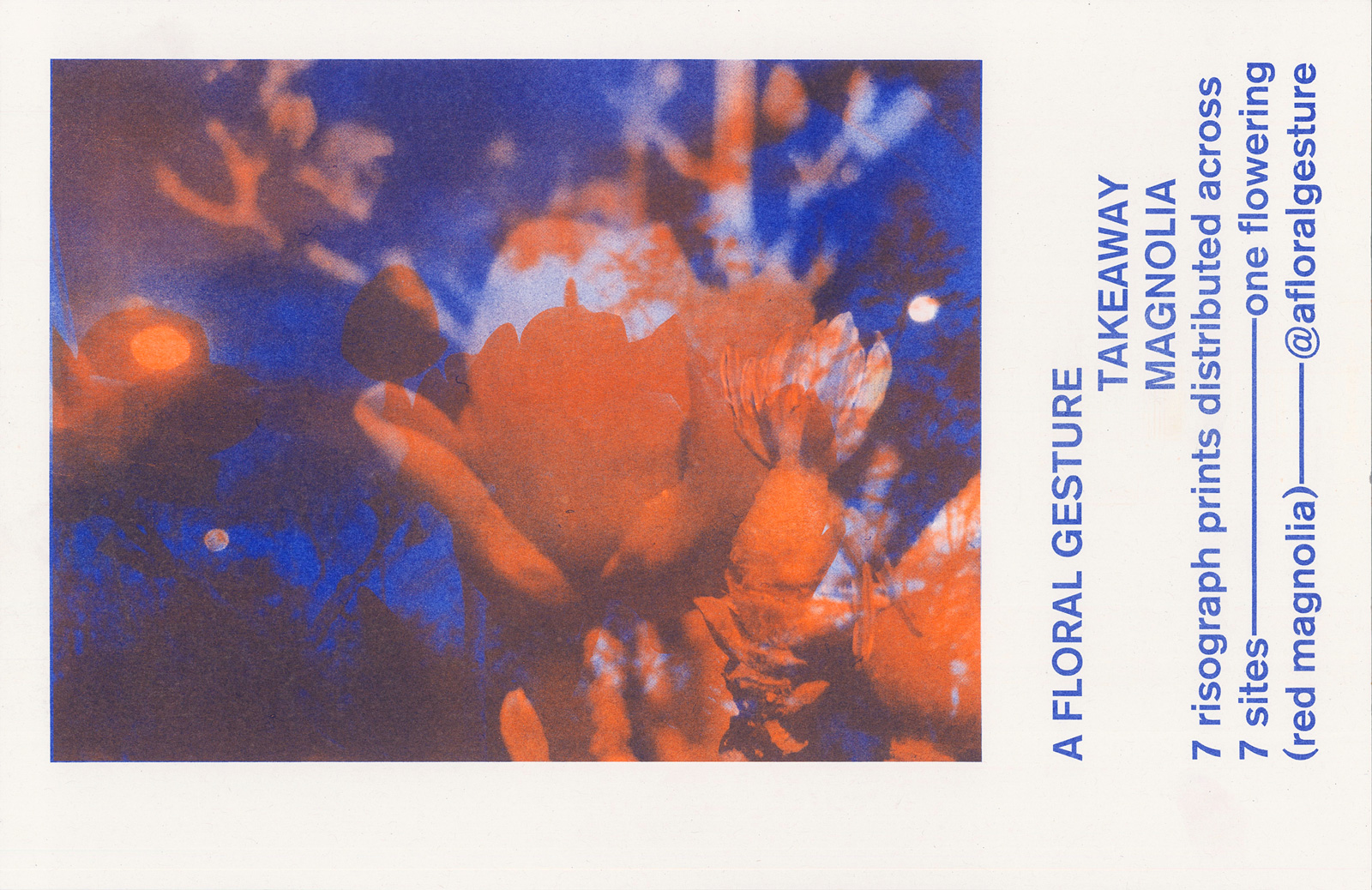 2019 risograph image