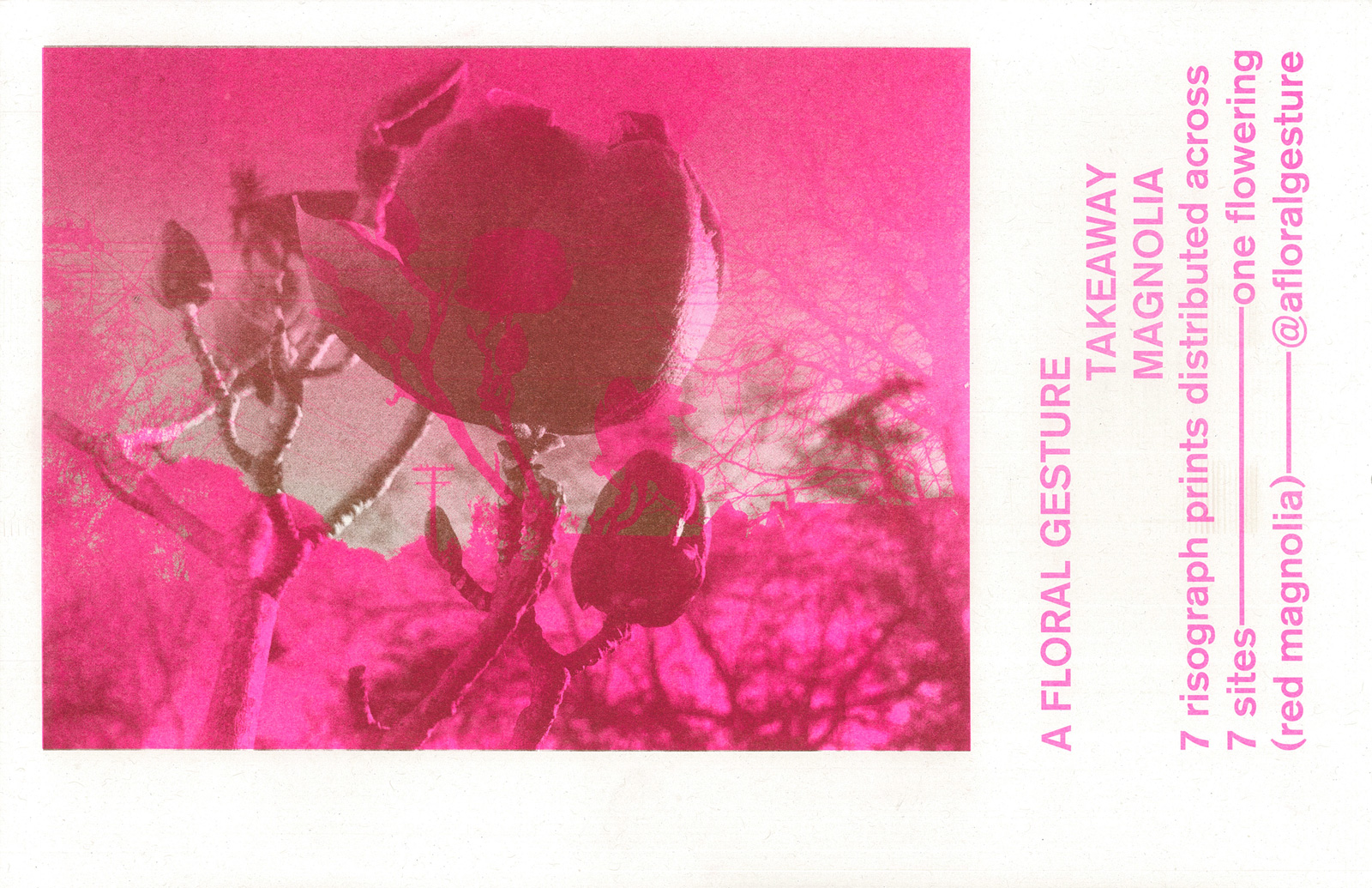 A floral Gesture iteration 3 (2019)