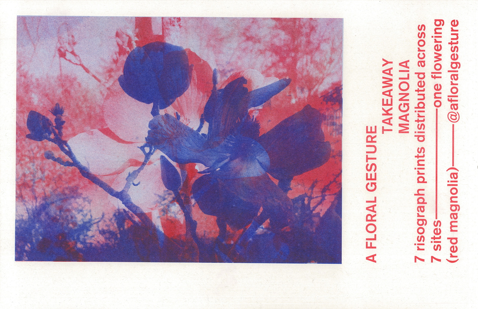 A floral Gesture iteration 3 (2019)