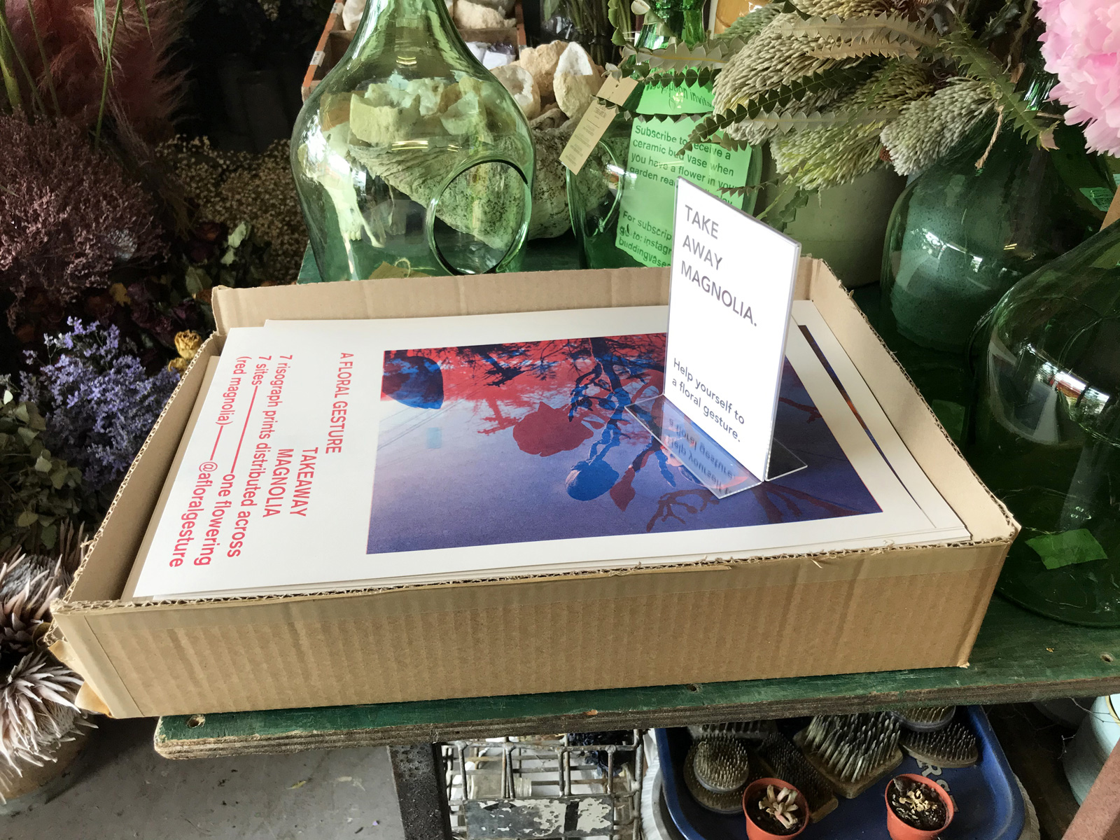 poster stacks at the florist - Greenpoint