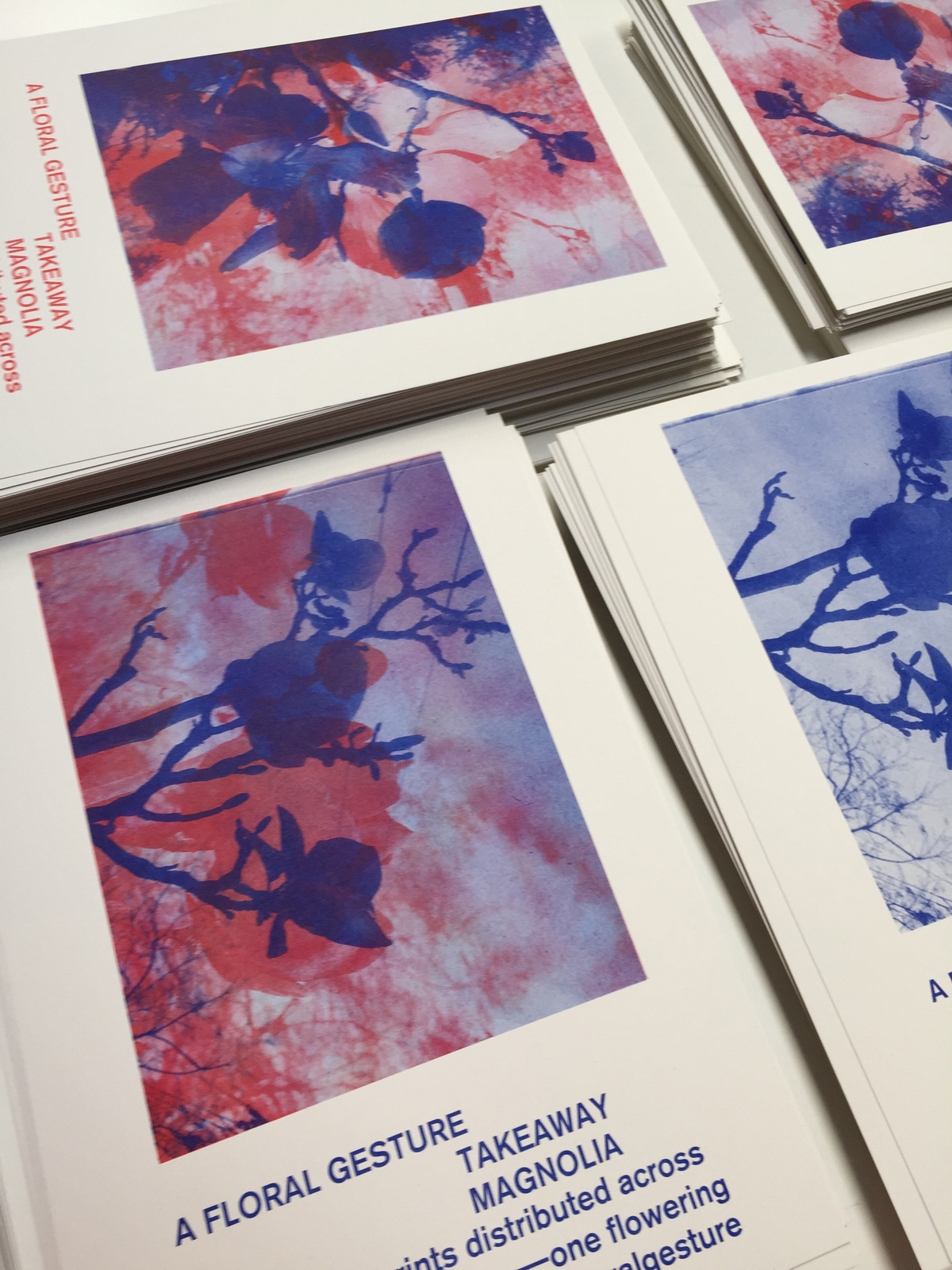 details of the prints