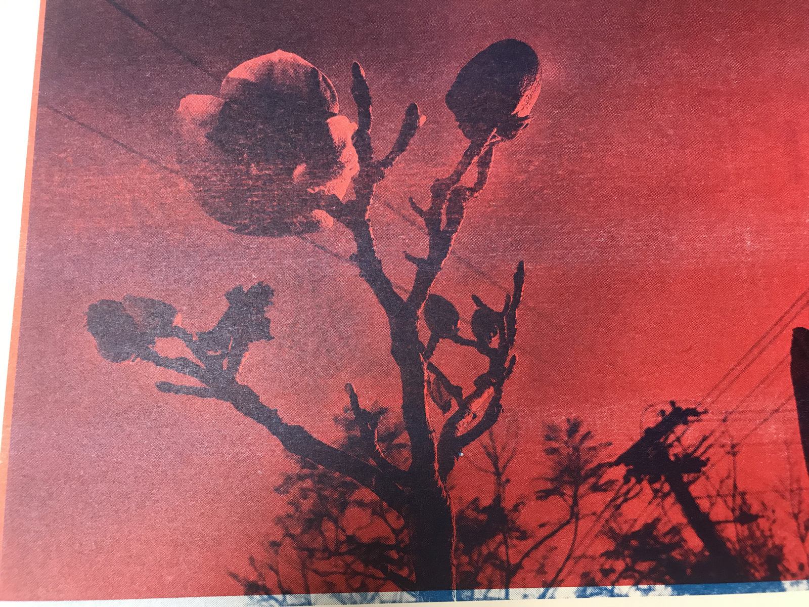 misprint