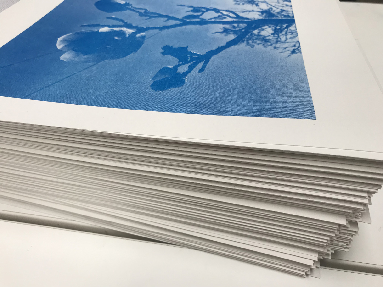 details of the prints