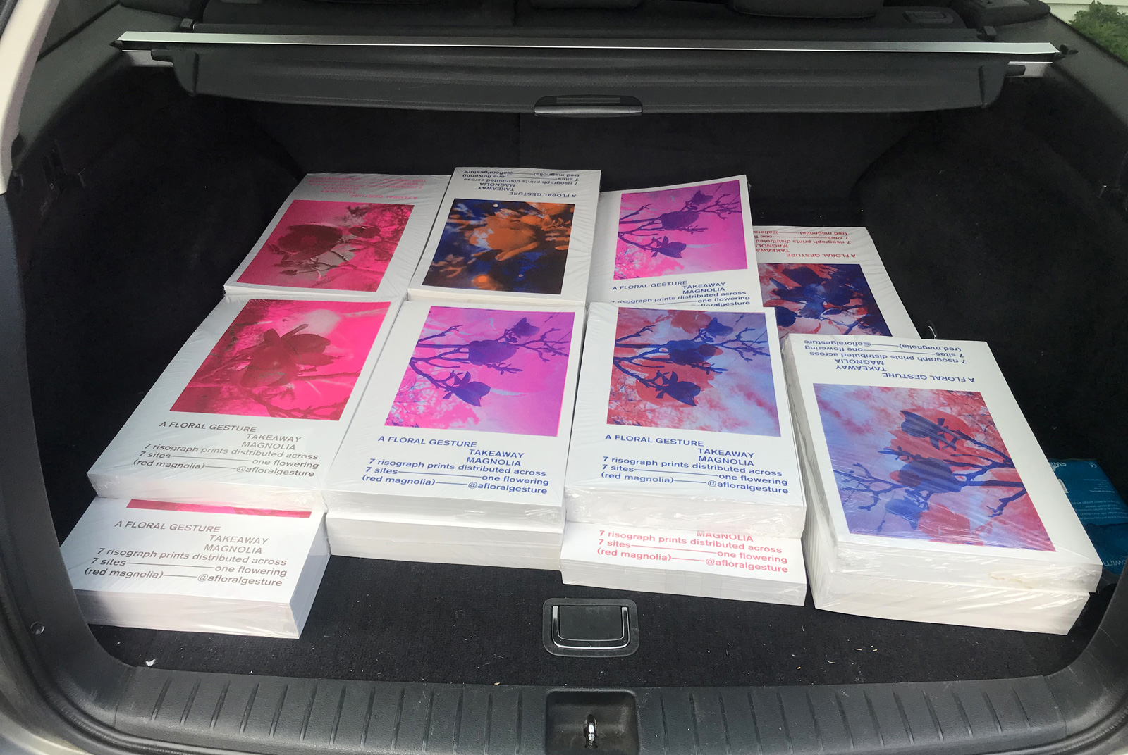 posters in car boot