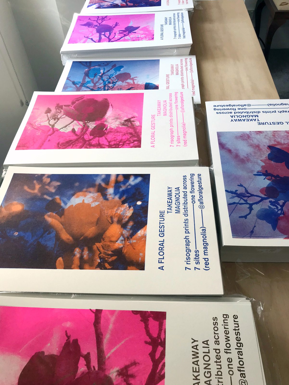 details of the prints