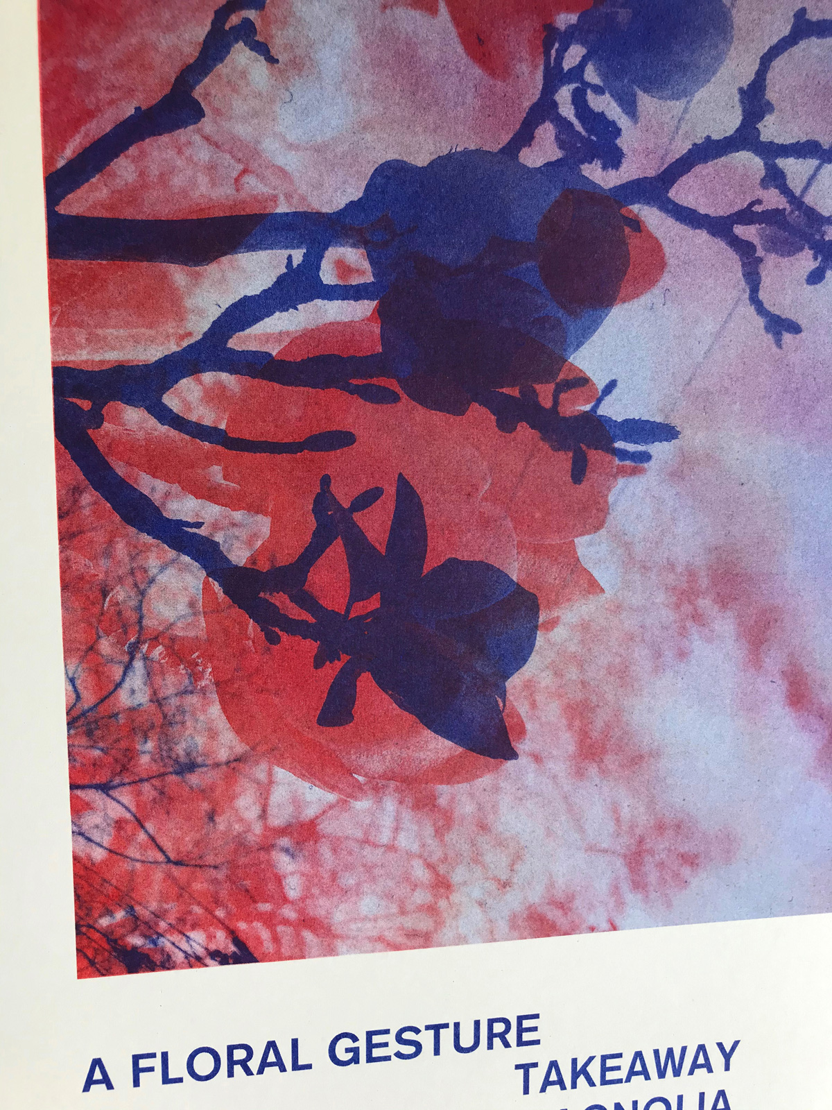 details of the prints