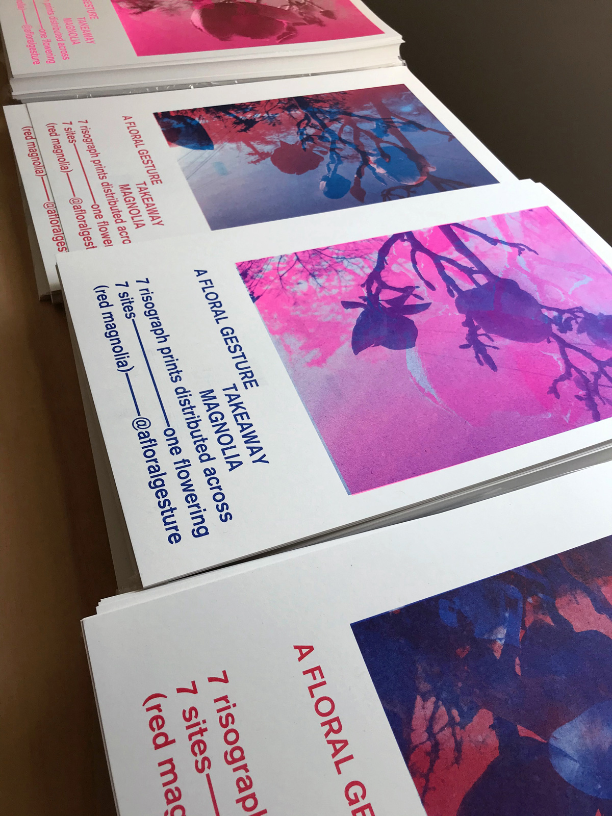 details of the prints