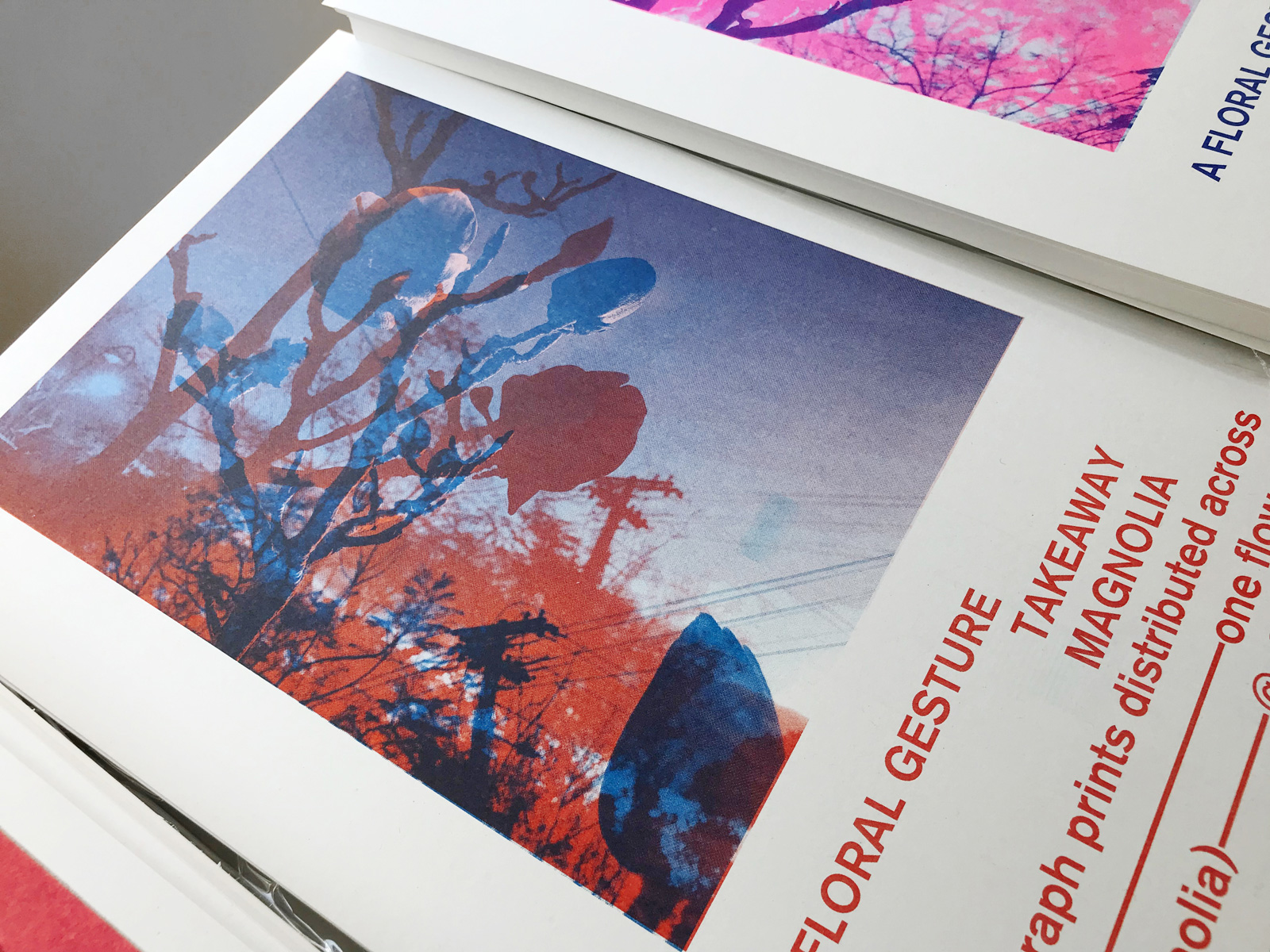 details of the prints