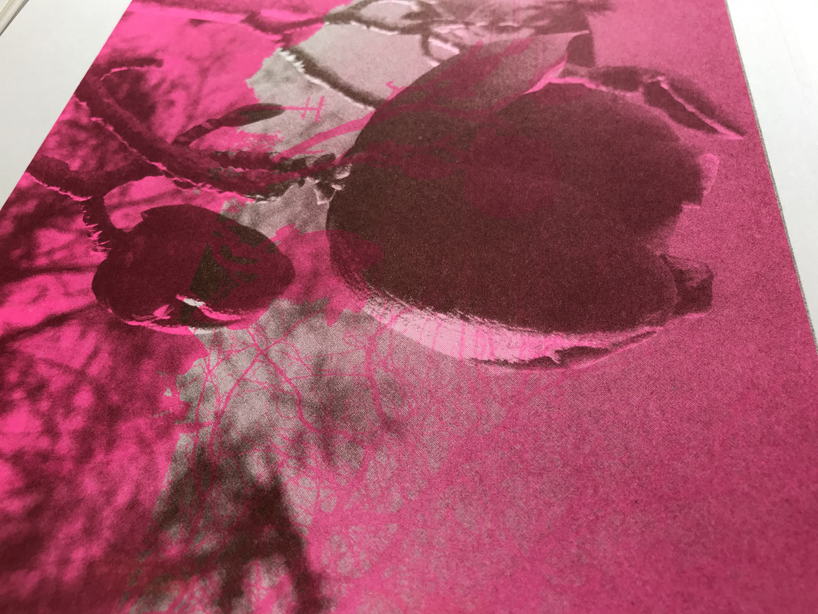 details of the prints